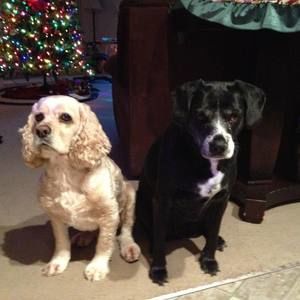 Meet your Posher, Denise